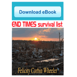 End Times