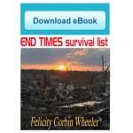 End Time Survival List - eBook
