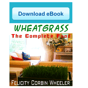 WheatGrass