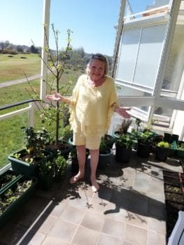 FJPlantingTerraceYellow