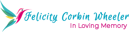Felicity Logo