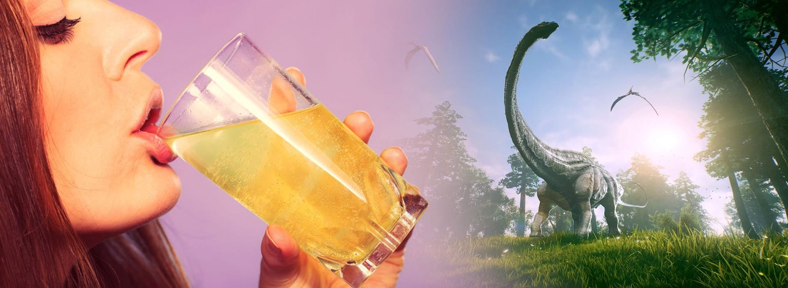 SimplyDrink