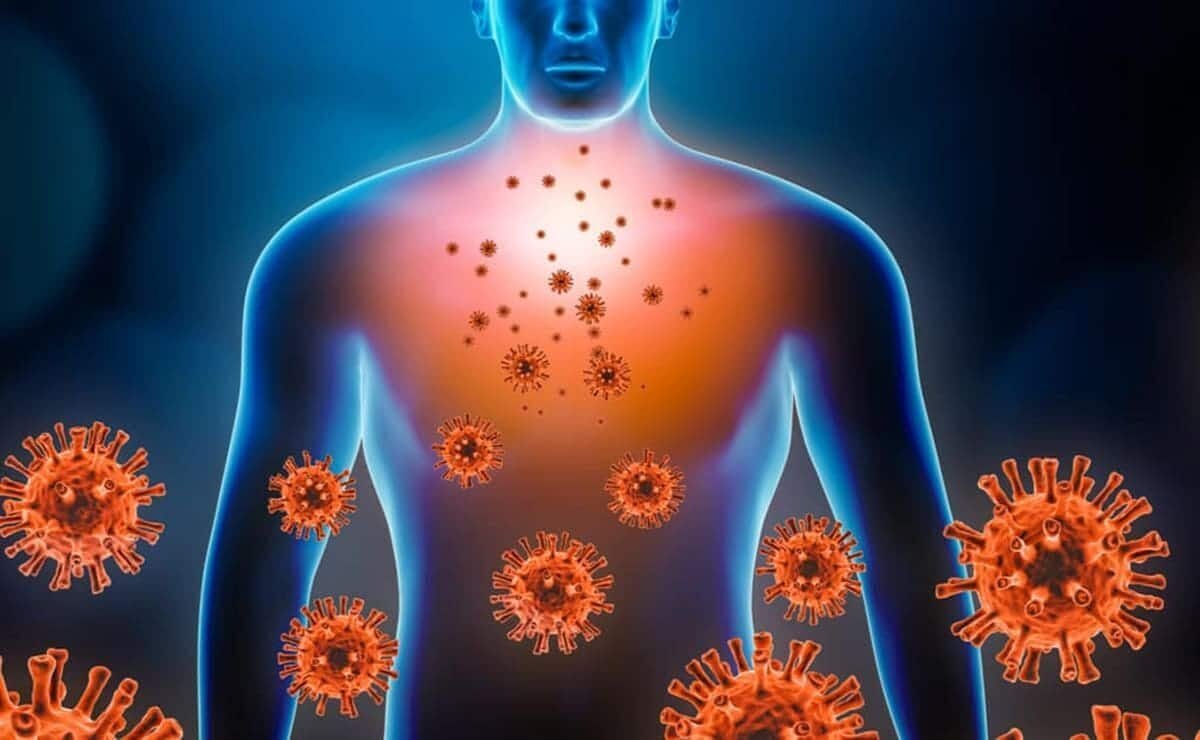 Body Immune System