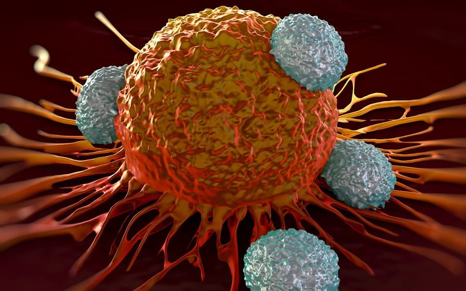 The mineral your immune system needs to fight cancer
