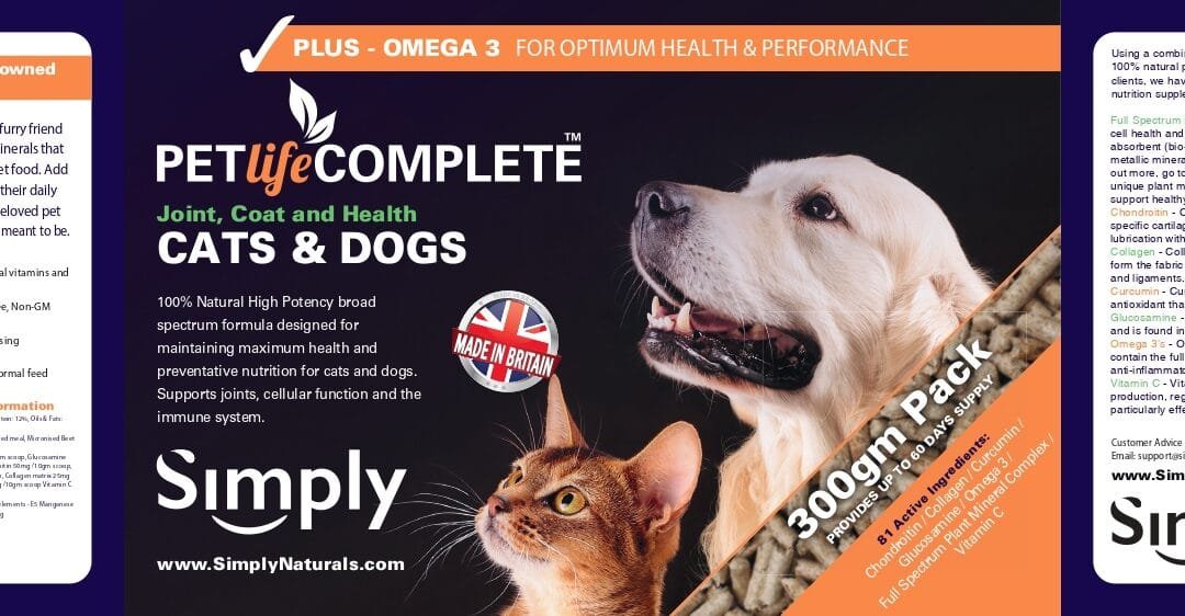Why Pet Nutrition Matters