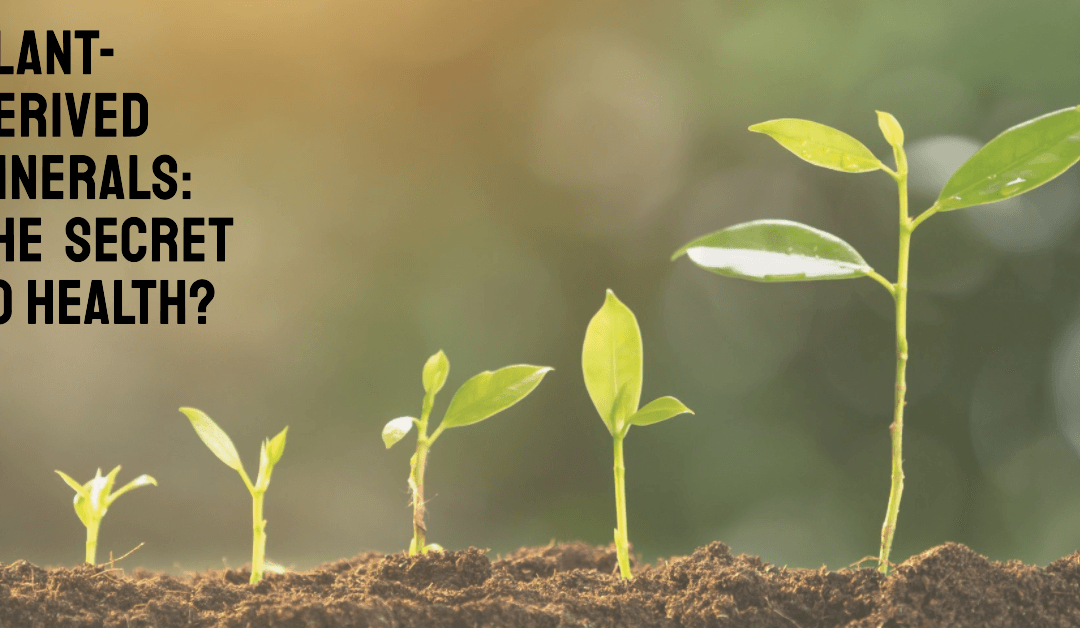 The Health Benefits of Natural Plant-Derived Minerals