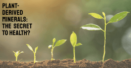The Health Benefits of Natural Plant-Derived Minerals