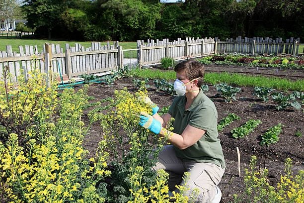 Working in the garden