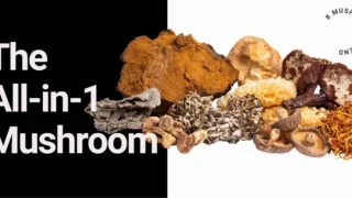 8_mushrooms_main_benefit