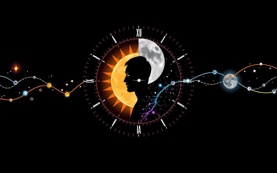 The Sleep Revolution: How to Hack Your Circadian Rhythm for Peak Performance & Longevity