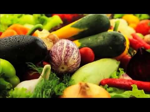Get Well Stay Well  - Program 15  - Food Choices