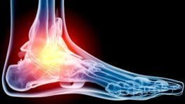 Foot