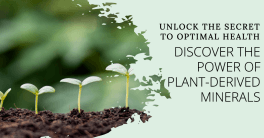 Nurturing Health with Natural Plant-derived Minerals