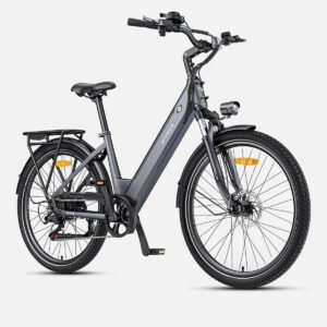 P275 SE - Electric Bike